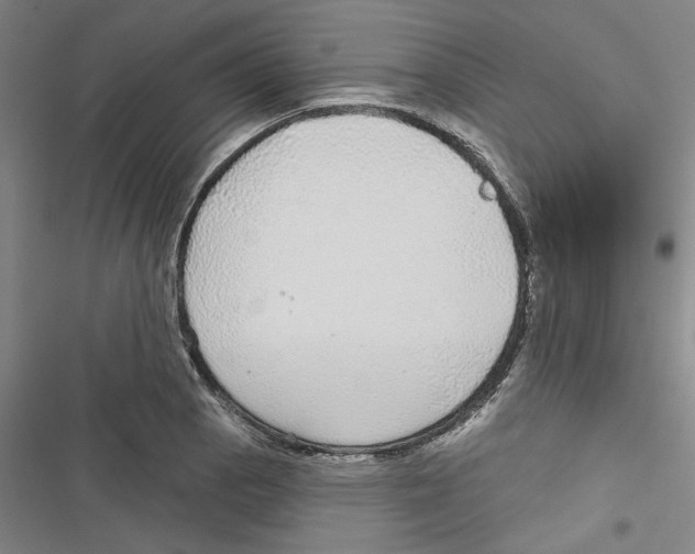 X0000116791129201001151056