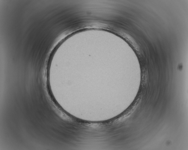 X0000116791130201001151056
