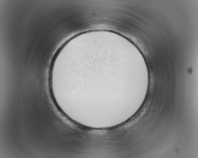 X0000116791134201001151056