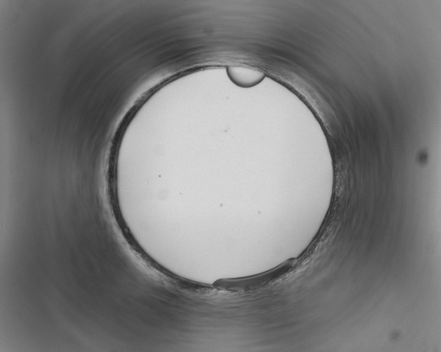 X0000116791139201001151056