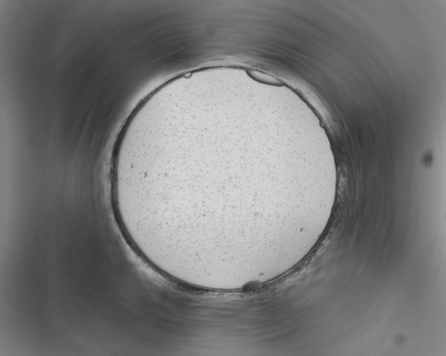X0000116791143201001151056