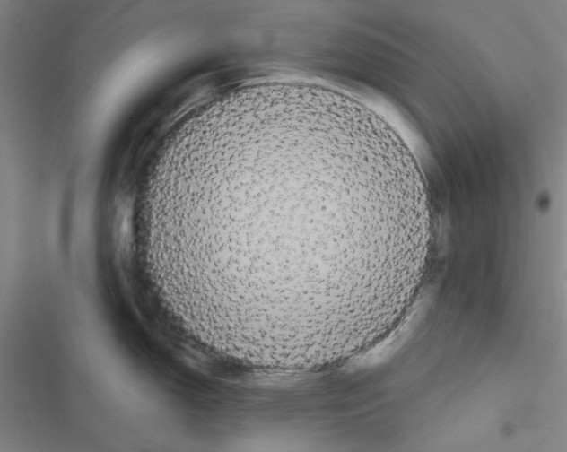 X0000116791150201001151056