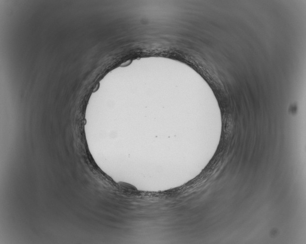X0000116791153201001151056