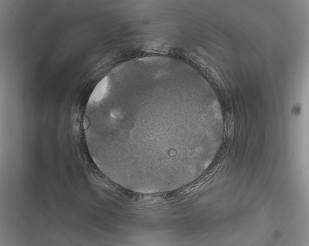X0000116791154201001151055