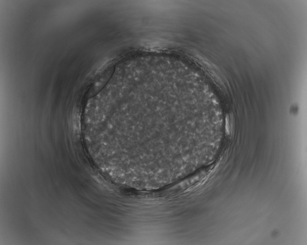 X0000116791155201001151055