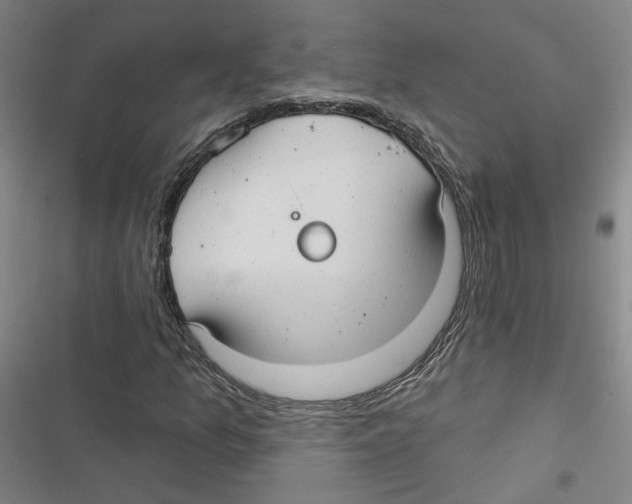 X0000116791157201001151055
