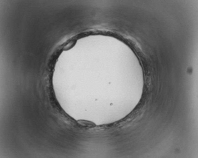 X0000116791159201001151055