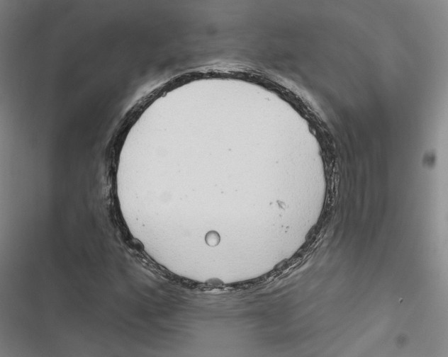 X0000116791160201001151055