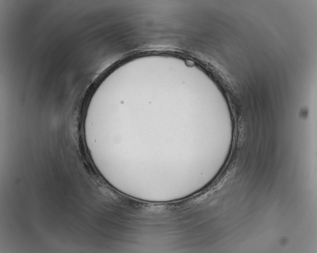 X0000116791162201001151055