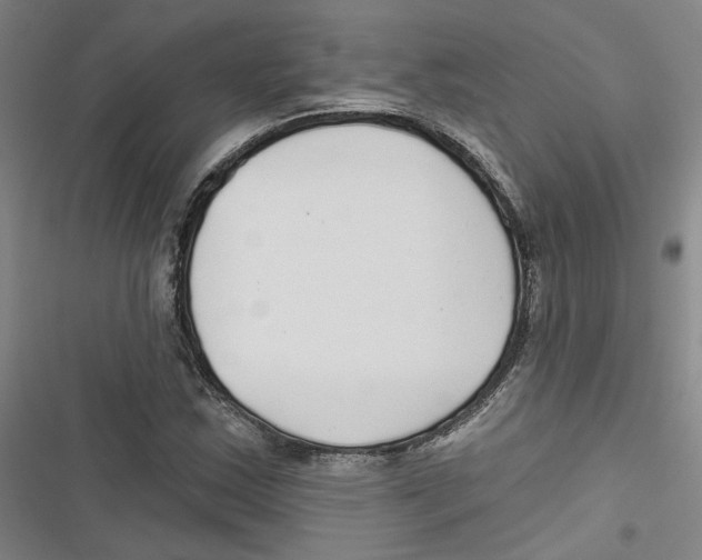 X0000116791163201001151055