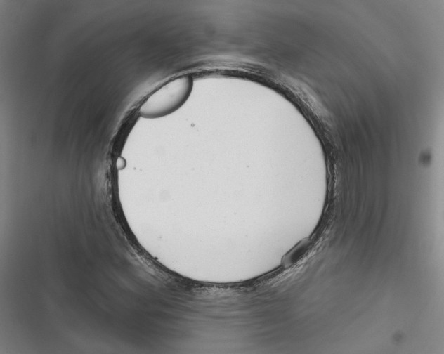 X0000116791164201001151055