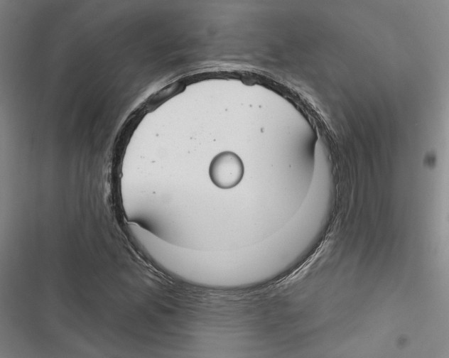 X0000116791165201001151055
