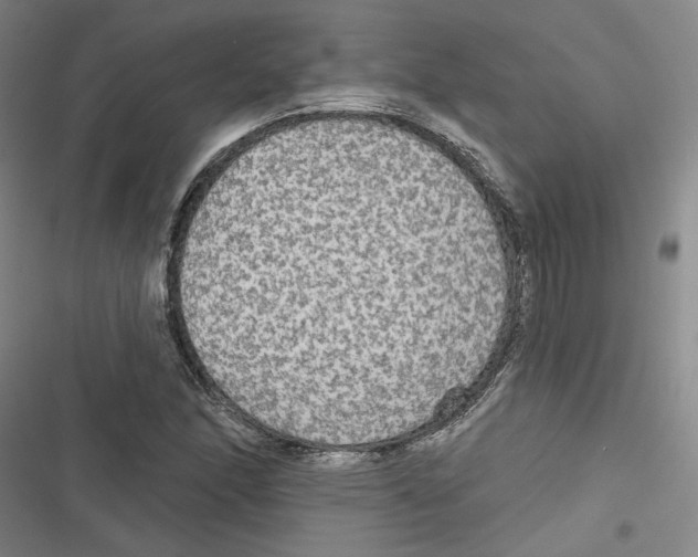 X0000116791166201001151055