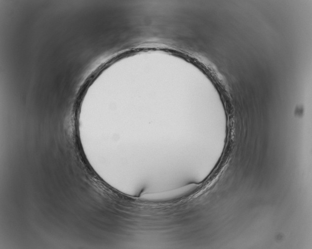 X0000116791167201001151055
