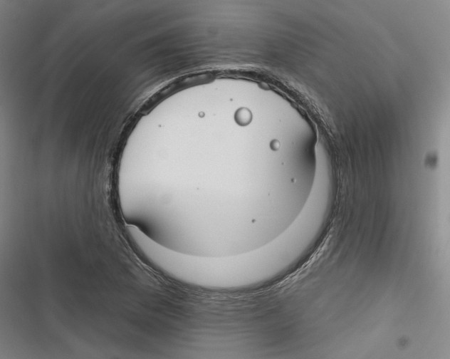 X0000116791169201001151055