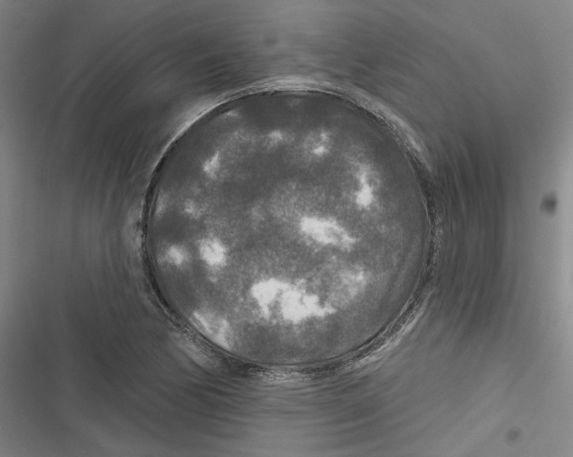 X0000116791170201001151055