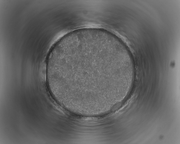 X0000116791171201001151055