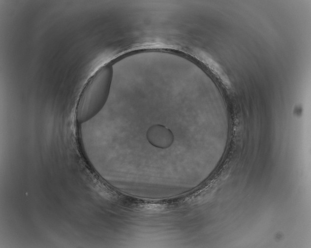 X0000116791173201001151055