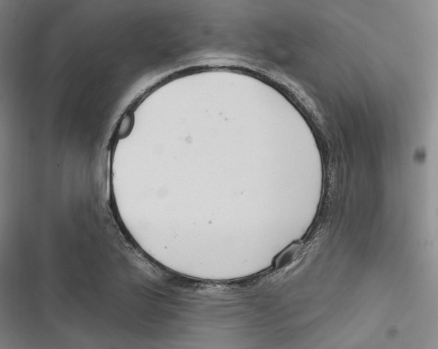 X0000116791175201001151055
