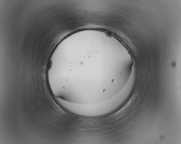 X0000116791177201001151055