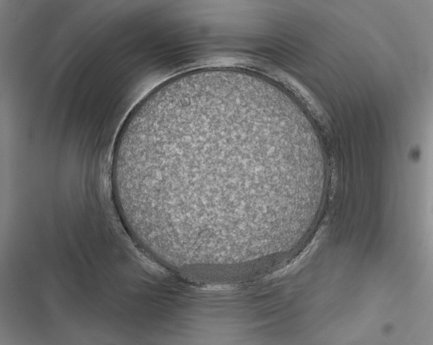 X0000116791178201001151055