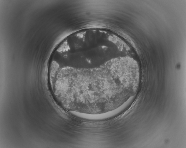 X0000116791179201001151055