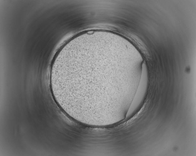 X0000116791180201001151055