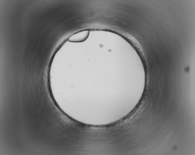 X0000116791183201001151055