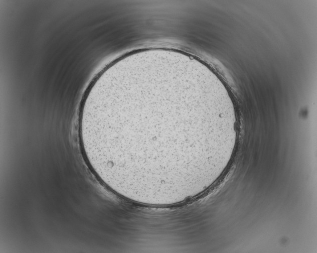 X0000116791184201001151055
