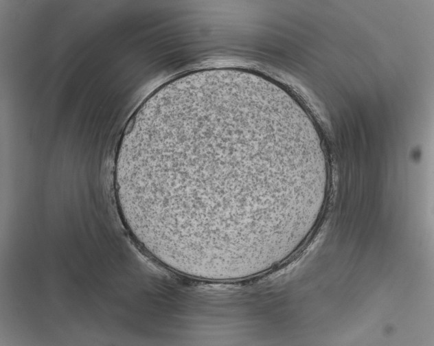 X0000116791185201001151055