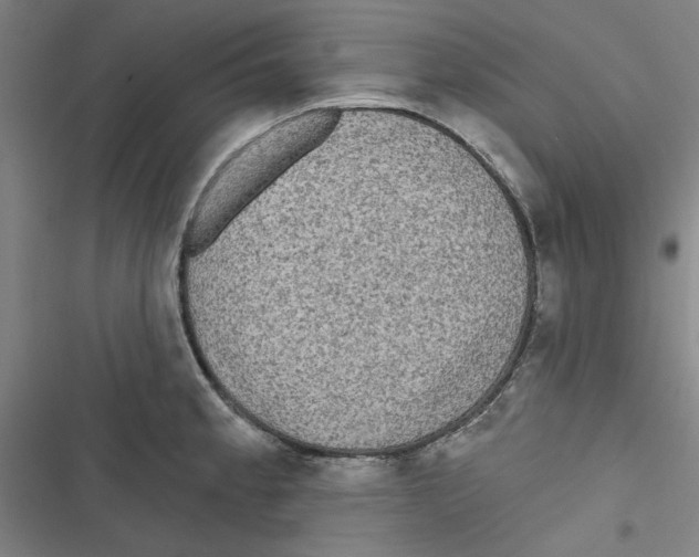 X0000116791189201001151055