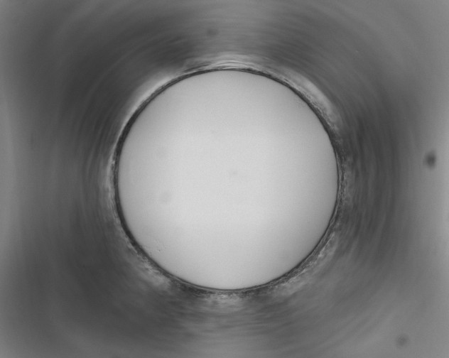 X0000116791190201001151055