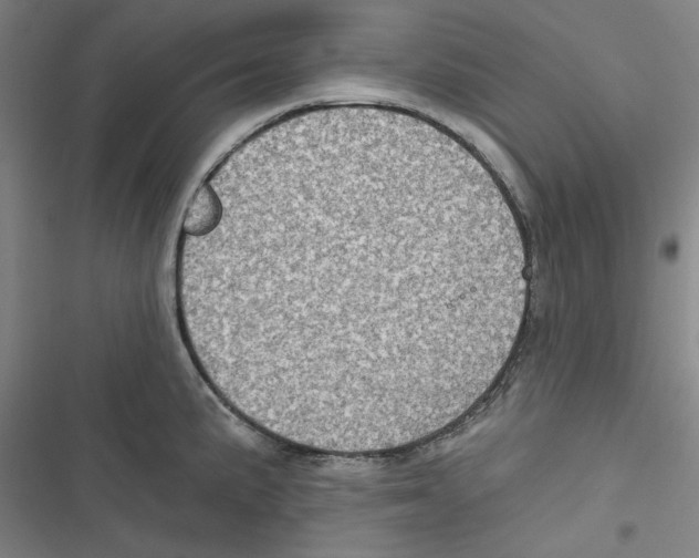 X0000116791191201001151055