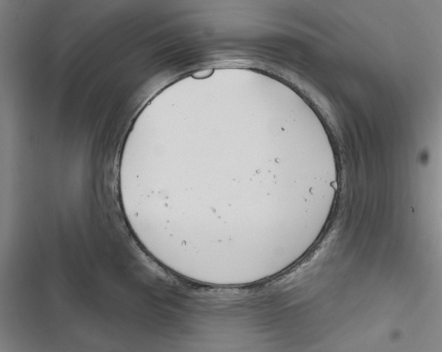 X0000116791193201001151055