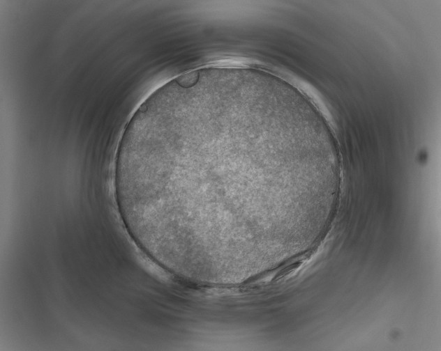X0000116791194201001151055