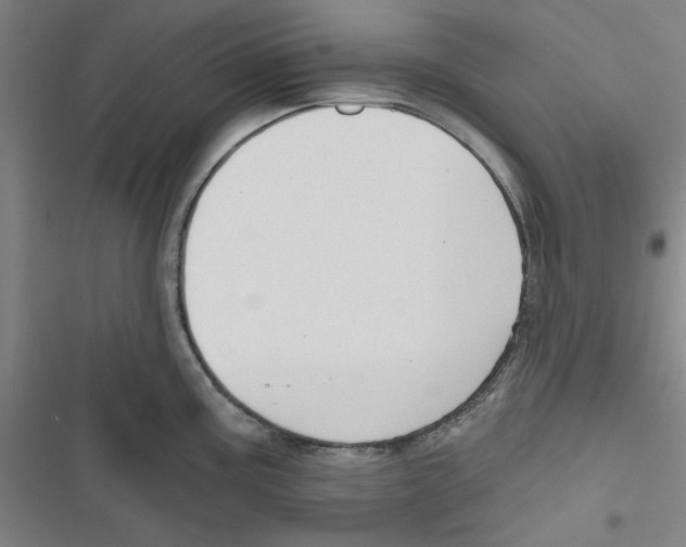 X0000116791195201001151055
