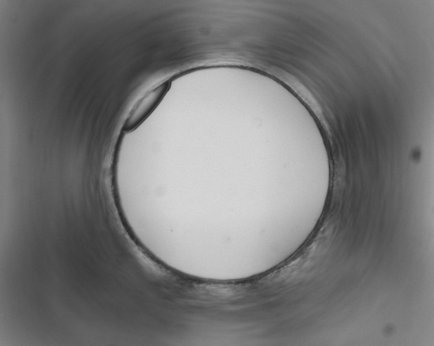 X0000116791197201001151055