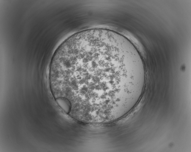 X0000116791198201001151055