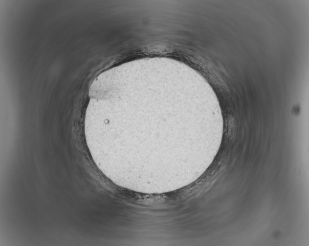 X0000116791201201001151054