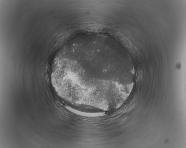 X0000116791202201001151054