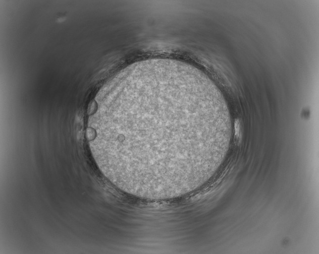 X0000116791203201001151054