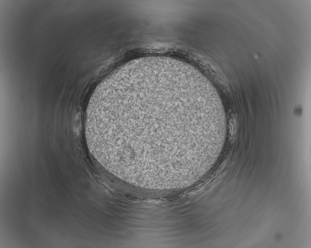 X0000116791204201001151054