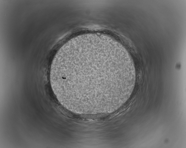 X0000116791205201001151054