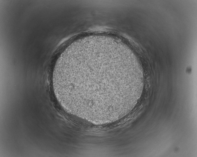 X0000116791206201001151054