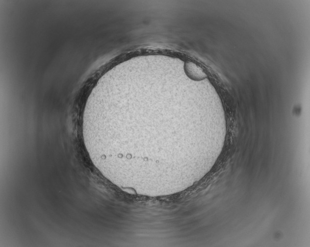 X0000116791207201001151054