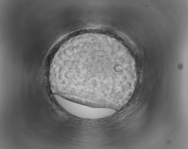 X0000116791208201001151054