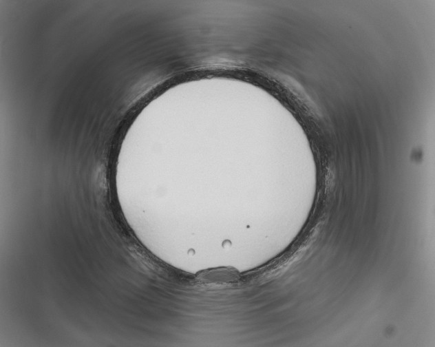 X0000116791209201001151054