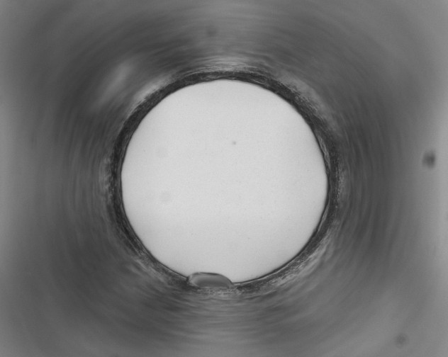 X0000116791210201001151054