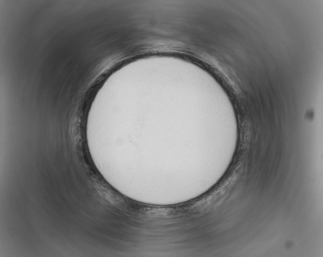 X0000116791211201001151054