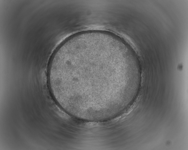 X0000116791212201001151054